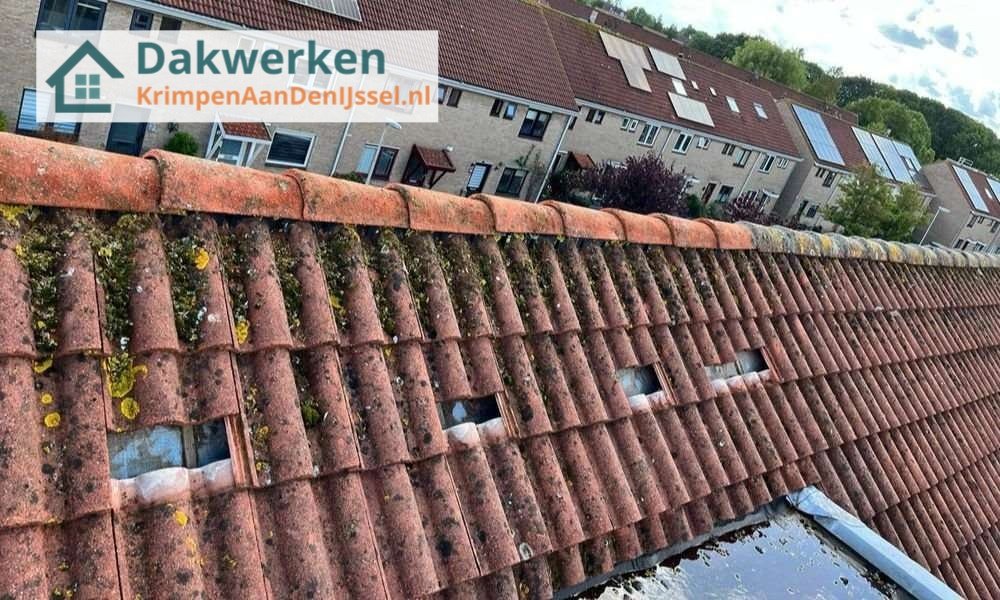 Een dakrenovatie bij oud pannendak Een dakrenovatie bij oud pannendak in Krimpen aan den IJssel